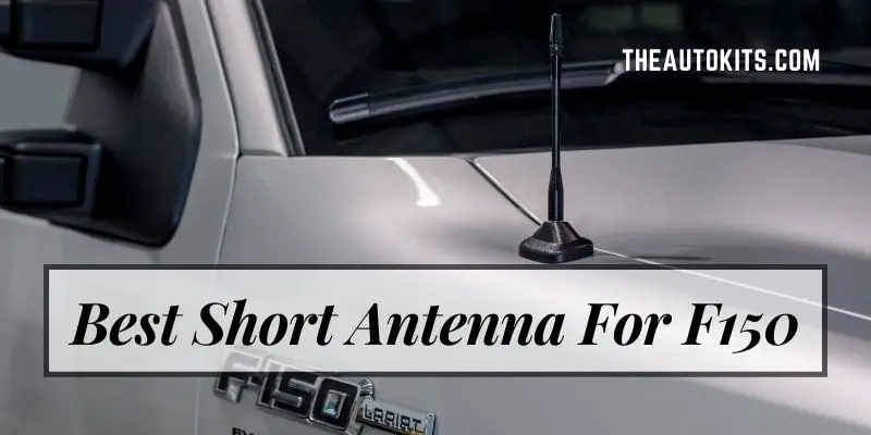 Best Short Antenna For F150